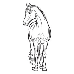 Unique Horse Singular Visual Recognition - Horse vector - Horse Line art - Horse Drawing - Vector Lineart of Horse - Horse icon - drawing of horse

