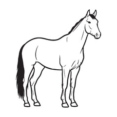 Obraz premium Full Horse Essential Nature Glimpse - Horse vector - Horse Line art - Horse Drawing - Vector Lineart of Horse - Horse illustration - vector of horse