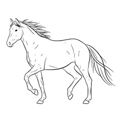 Deepest Horse Resilience Capacity - Horse vector - Horse Line art - Horse Drawing - Vector Lineart of Horse - Horse icon - drawing of horse

