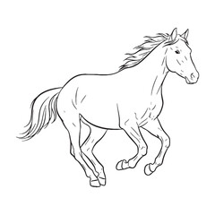 Key Horse Rare Trait Element - Horse vector - Horse Line art - Horse Drawing - Vector Lineart of Horse - Horse illustration - vector of horse


