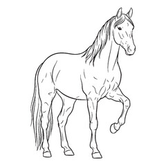 Gallant Horse Equine Companion Type - Horse vector - Horse Line art - Horse Drawing - Vector Lineart of Horse - Horse illustration - vector of horse

