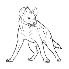 Acute Hyena Sensory Head Traits - Hyena vector - Hyena Line art - Hyena Drawing - Vector Lineart of Hyena - Hyena illustration - vector of hyena

