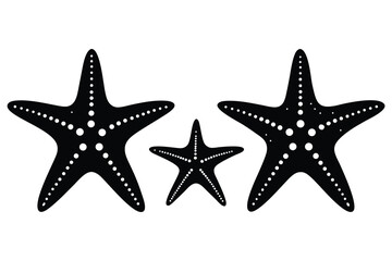 Elegant Starfish Trio in Black and White Isolated on a Clean Background Coastal Charm Minimalist Design