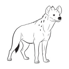 Wild Hyaenidae Being Attribute - Hyena vector - Hyena Line art - Hyena Drawing - Vector Lineart of Hyena - Hyena icon - drawing of hyena

