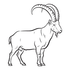 Vast Ibex Ancient Aura Ambit - Ibex vector - Ibex Line art - Ibex Drawing - Vector Lineart of Ibex - Ibex icon - drawing of ibex

