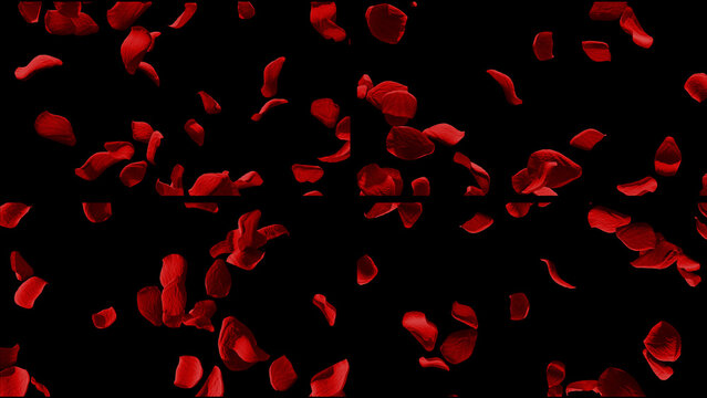 Flowing Rose Petals