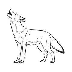 Hardy Jackal Terrestrial Form Outline - Jackal vector - Jackal Line art - Jackal Drawing - Vector Lineart of Jackal - Jackal icon - its commanding intricate tiny shape

