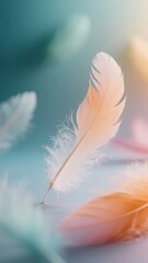 Soft Pastel Feathers Resting on a Gradient Background