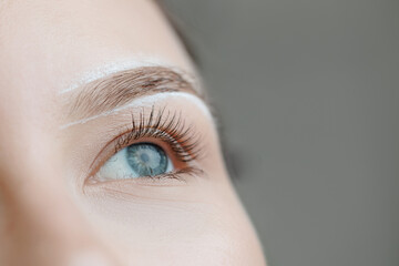 Closeup of young female preparing eyebrow tinting with natural makeup