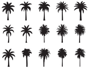 Obraz premium Collection of fifteen black palm tree silhouettes on white background vector