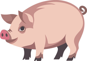 pig animal pig  vector pig  icon