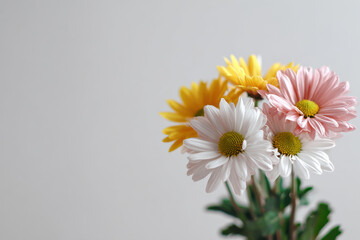 on ptsd awareness day this composition embodies bright emotions through flowers against clean background