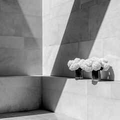 Corner alcove, light and shadow, white flowers