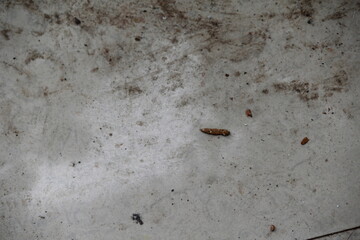 Dirty Floor with Scattered Debris – Grime Texture, Urban Neglect Detail, Messy Surface, Realistic Cleanup Scene, Abstract Hygiene Concept
