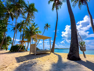 Panorama of tropical beach with coconut palm trees as white sand beach background