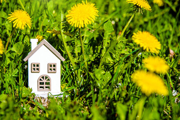 The symbol of the house stands among the yellow dandelions
