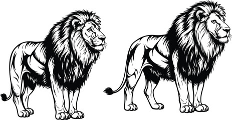 Cad drawing flat vector illustration of standing lions, detailed wild animal silhouettes, majestic posture, African wildlife, predator art concept