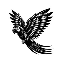 Obraz premium Detailed black and white vector illustration of a parrot in flight