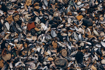 Sea waves lash line impact rock on the beach