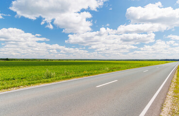 Endless asphalt road stretching through a summer landscape of green fields under a sunny sky
