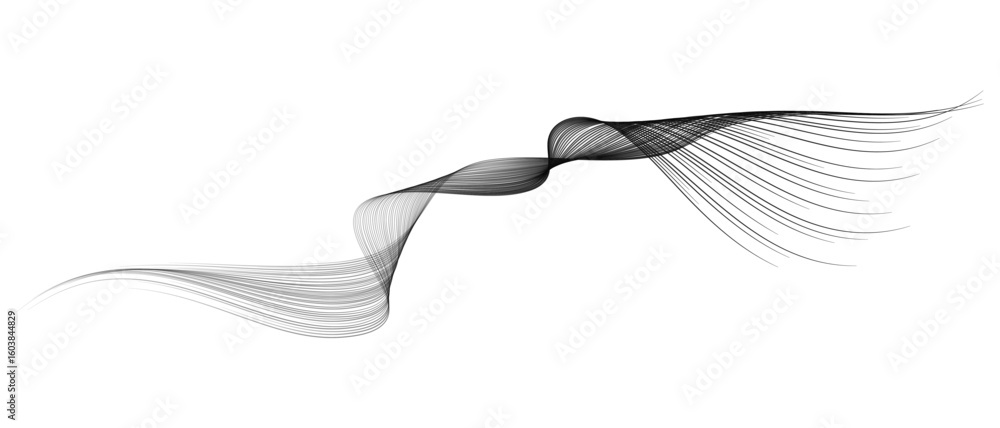 Poster vector abstract brush stroke wavy lines flowing smooth curve black grey gradient isolated on transpa