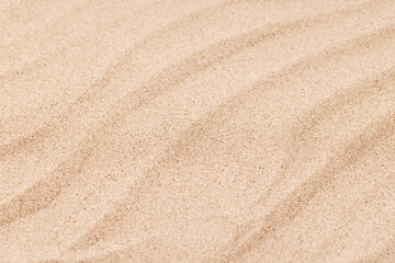 A tropical summer background featuring soft beach sand with delicate palm leaf shadows
