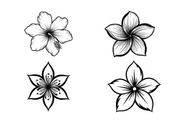 Hand Drawn Tropical Flower Set