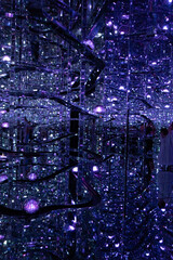 Immersive Digital Art Installation at teamLab Borderless, Tokyo