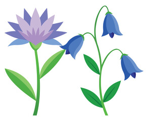Illustration of Lavender and Bluebell Flowers on a White Background