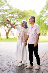 Romantic and elderly healthy lifestyle concept.Senior active asian couple holding hands looks happy...