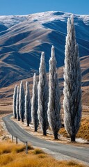 Winding road through frosted trees
