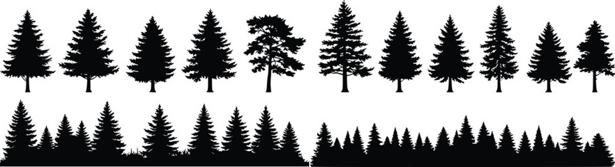 Silhouette of tall evergreen trees in a staggered horizontal row, evoking wilderness, depth, and serenity