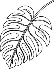 Monstera leaf outline plant tropical