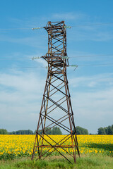 Electricity tower standing in a field of sunflowers against a clear sky