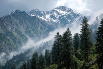 Misty mountain range with snow-capped peak and pine forests