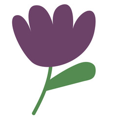 Purple Tulip Single Bloom