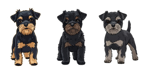 Cute Affenpinscher Dog Standing Front Vector illustration with fur Details