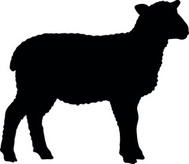 Black sheep silhouette vector art