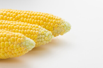 とうもろこし ゴールドラッシュ 穀物 野菜 甘い Corn Gold Rush Grains Vegetables Sweet