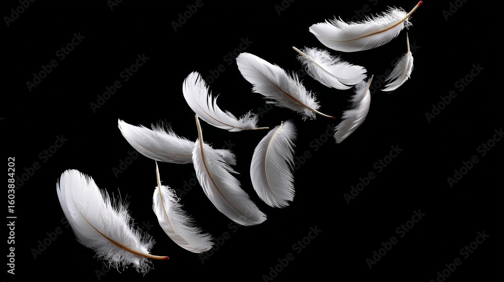 Aufkleber series of white feathers are floating in the air. the feathers are scattered in different directions