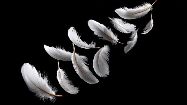 Series of white feathers are floating in the air. The feathers are scattered in different directions, creating a sense of movement and freedom. The image evokes a feeling of lightness and grace