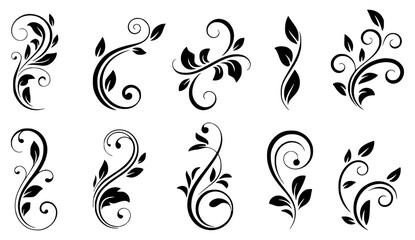 Black floral swirls and leaves decorative