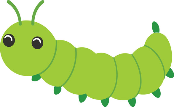 Close-up of cabbage looper caterpillar on green leaf, detailed insect macro photography, garden pest, organic farming, nature wildlife, agricultural damage, butterfly larva, pest control concept, free