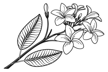 Elegant One-Line Botanical Illustrations of Tropical Leaves and Wildflowers in Black and White – Minimalist Nature Art Set