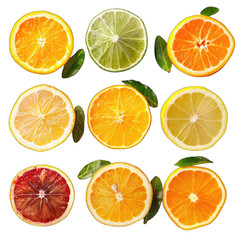 Citrus fruit slices, top view.  Colorful citrus, vibrant,  arranged in grid pattern
