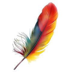 Vibrant colorful feather (2)