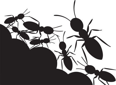 black ants crawling on a dark surface clip art preview