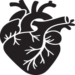A black and white illustration of an anatomical heart with veins and arteries on a white background