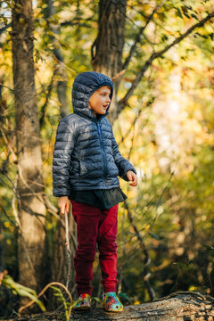 Boy in hooded jacket stands on log holding stick in forest