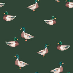 Seamless pattern with watercolor ducks hand drawn mallard birds on white background for kids wallpaper and fabric